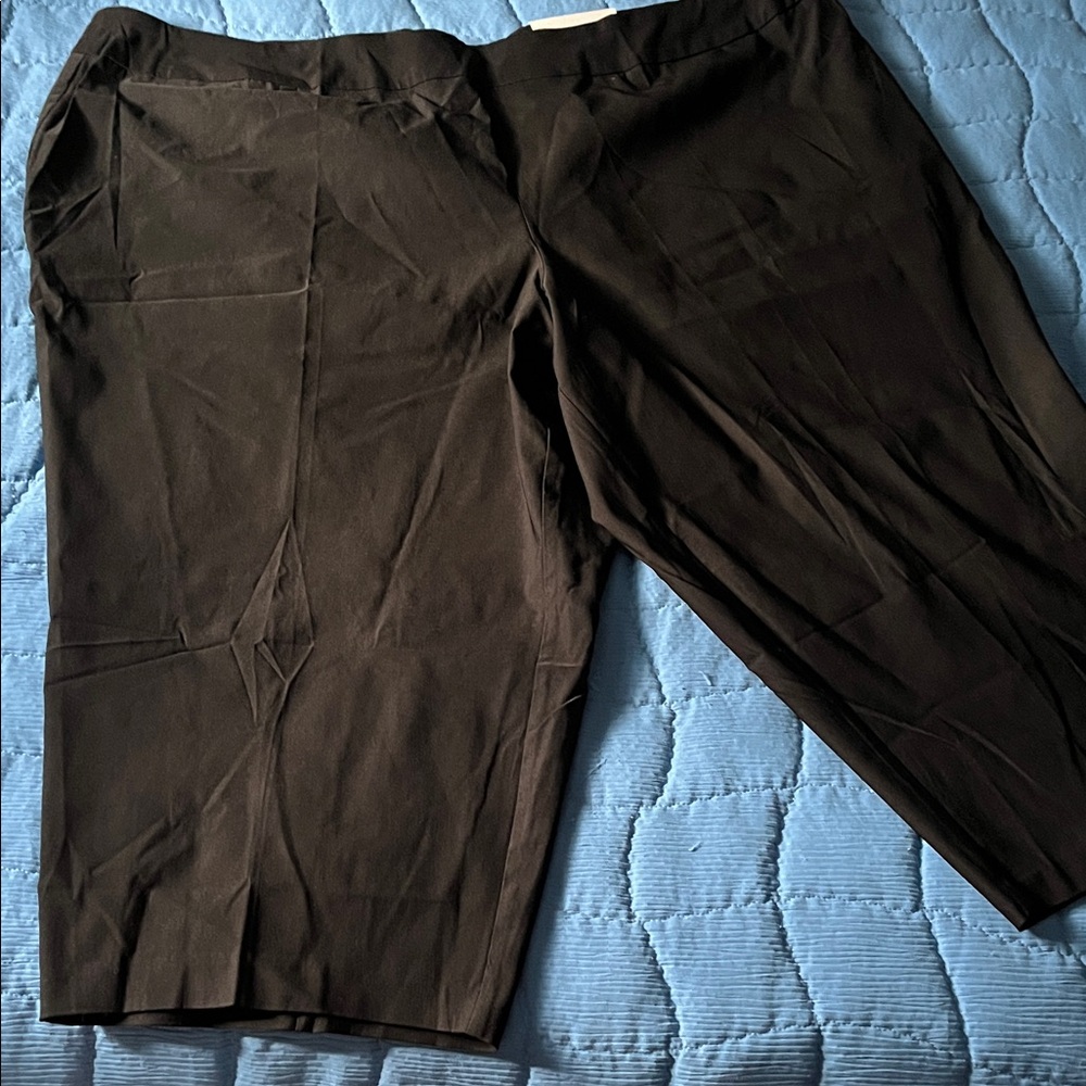 CATO Classic Crop Pants Size 32W